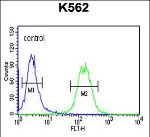 FC - GALR1 Antibody (Center) AP9346c